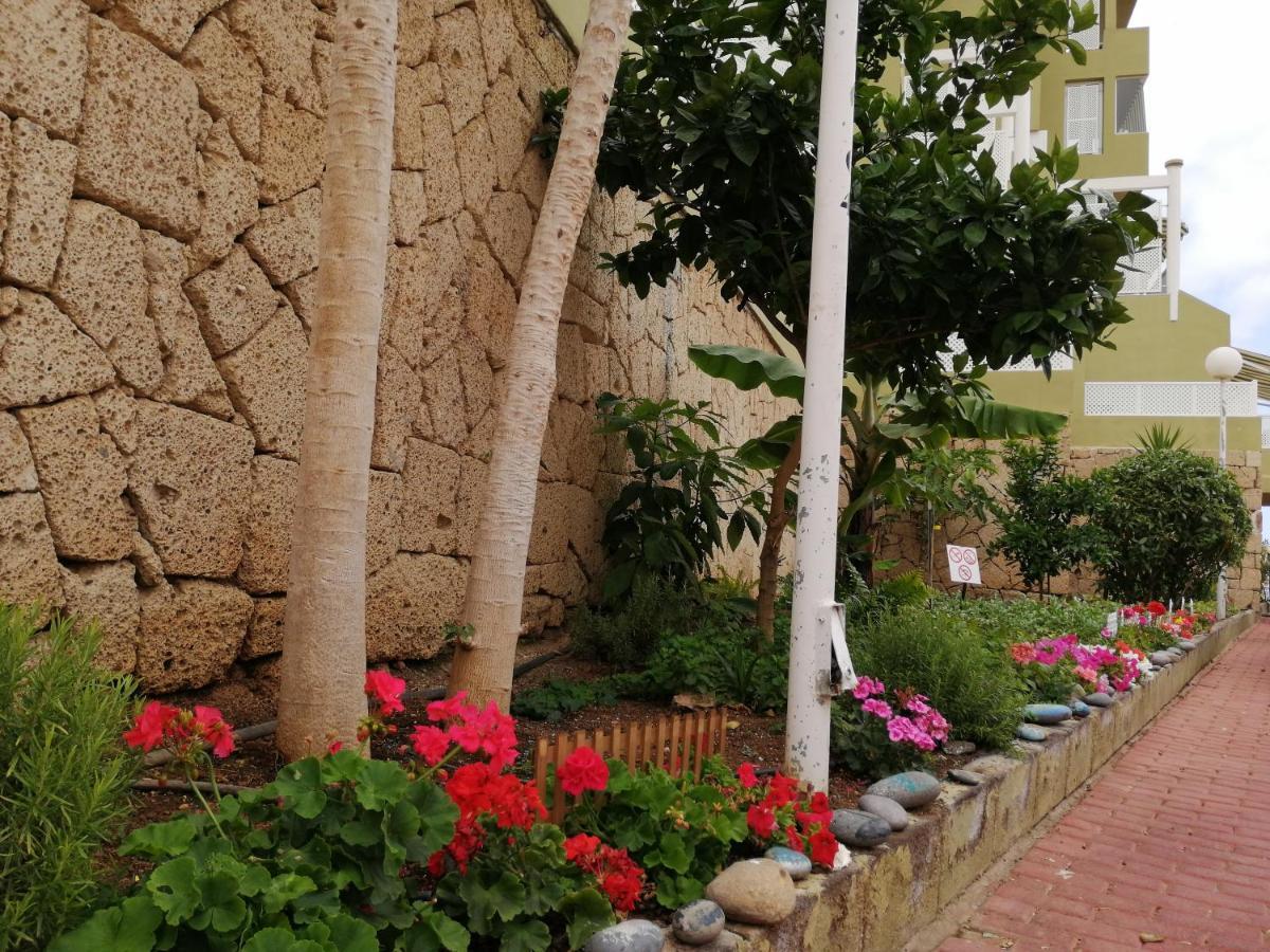Apartamento - Orlando Complex Apartamento