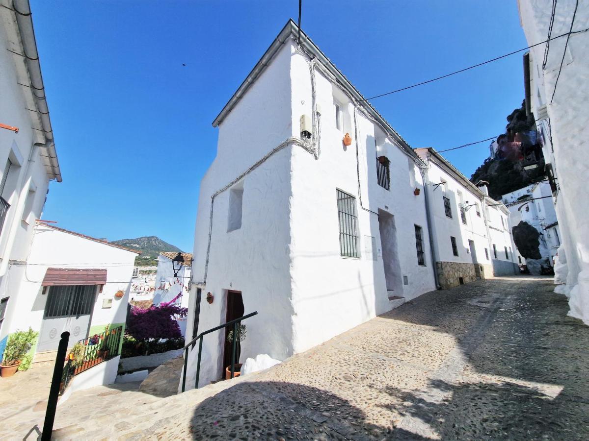 El Búcaro. Puertitas Rojas