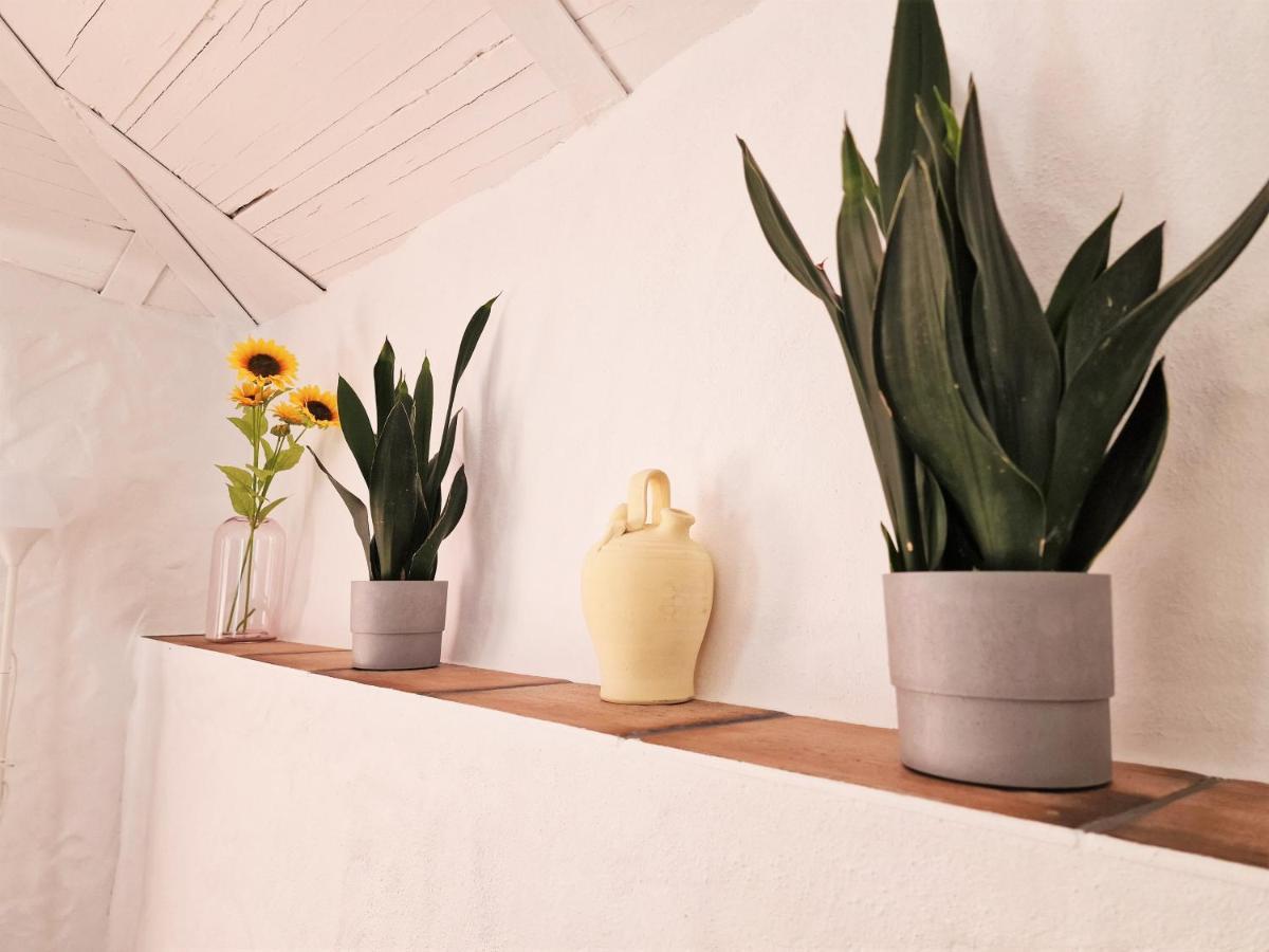 Apartamento El Búcaro. Puertitas Rojas Ubrique
