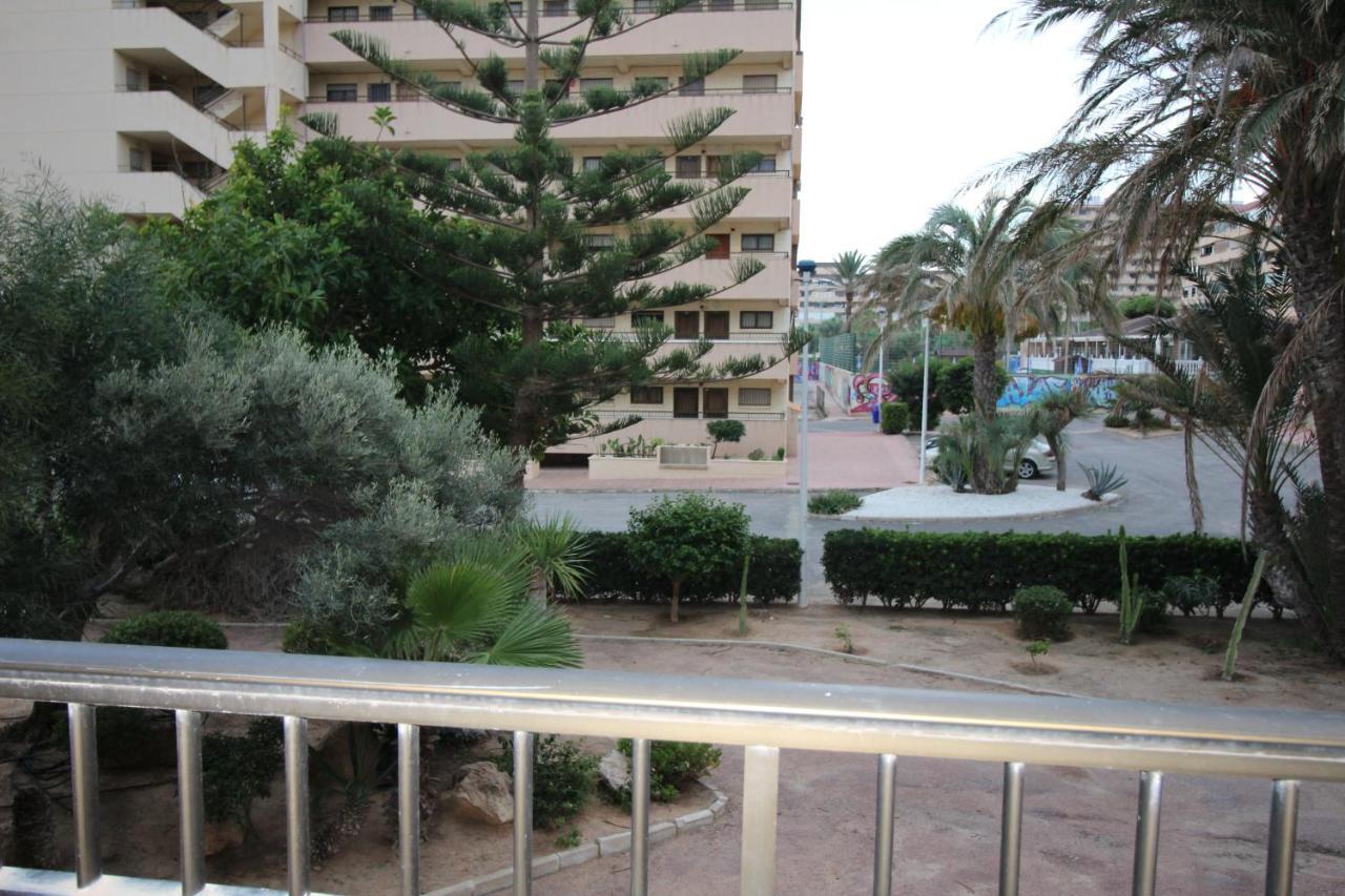 En La Mata Torrevieja