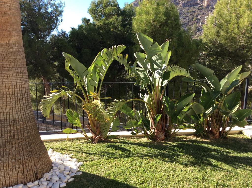 Olivos Сasa de vacaciones Altea