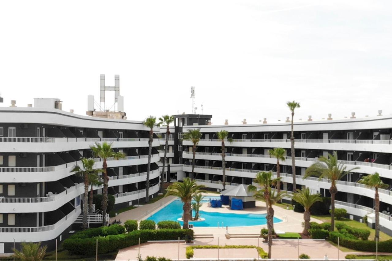 Palmera 2* Pilar de la Horadada