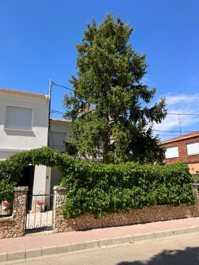 Paz Jardin-madrigueras * Madrigueras (Albacete)