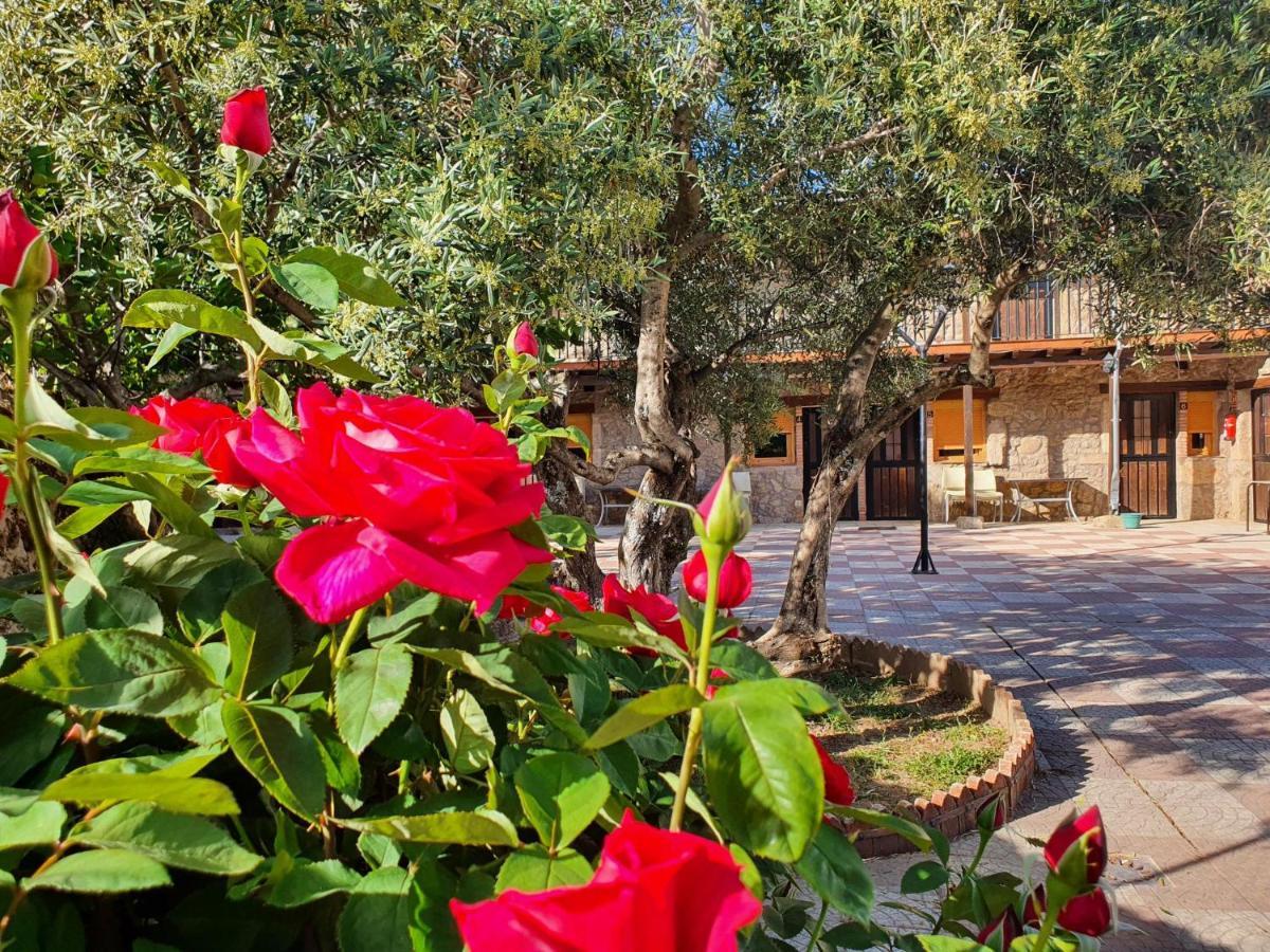Country house El Solitario