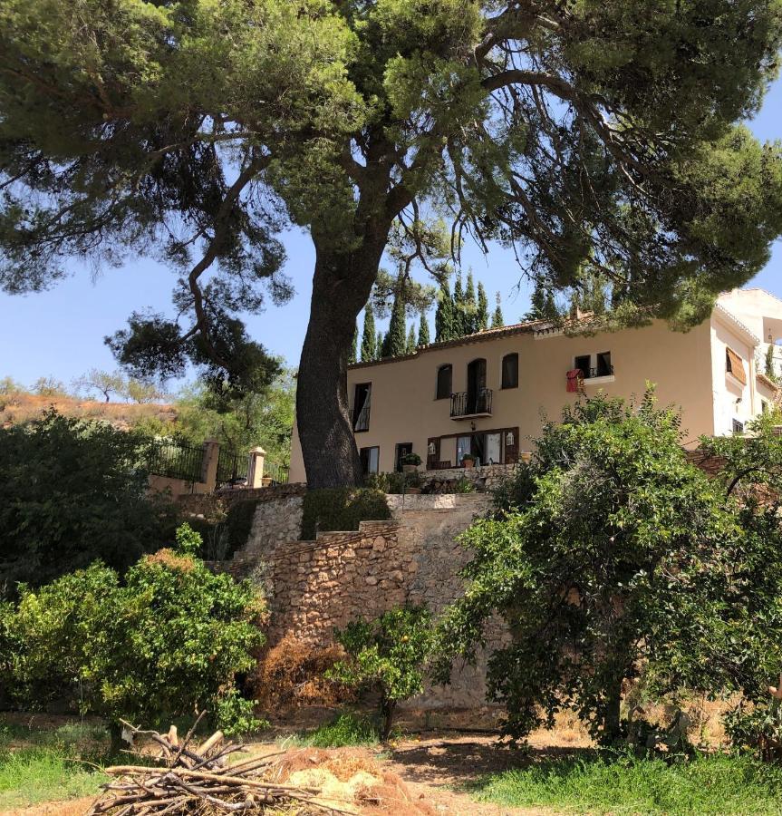 Cortijo El Pino Bed and breakfast *