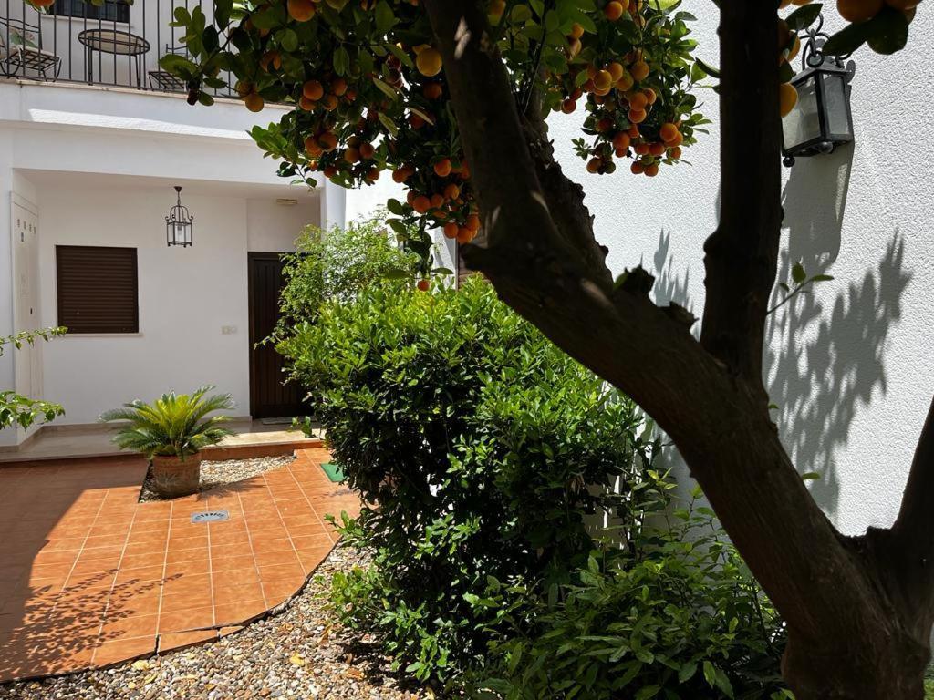 Acogedor Junto A Plaza De San Agustin Apartment Cordoba