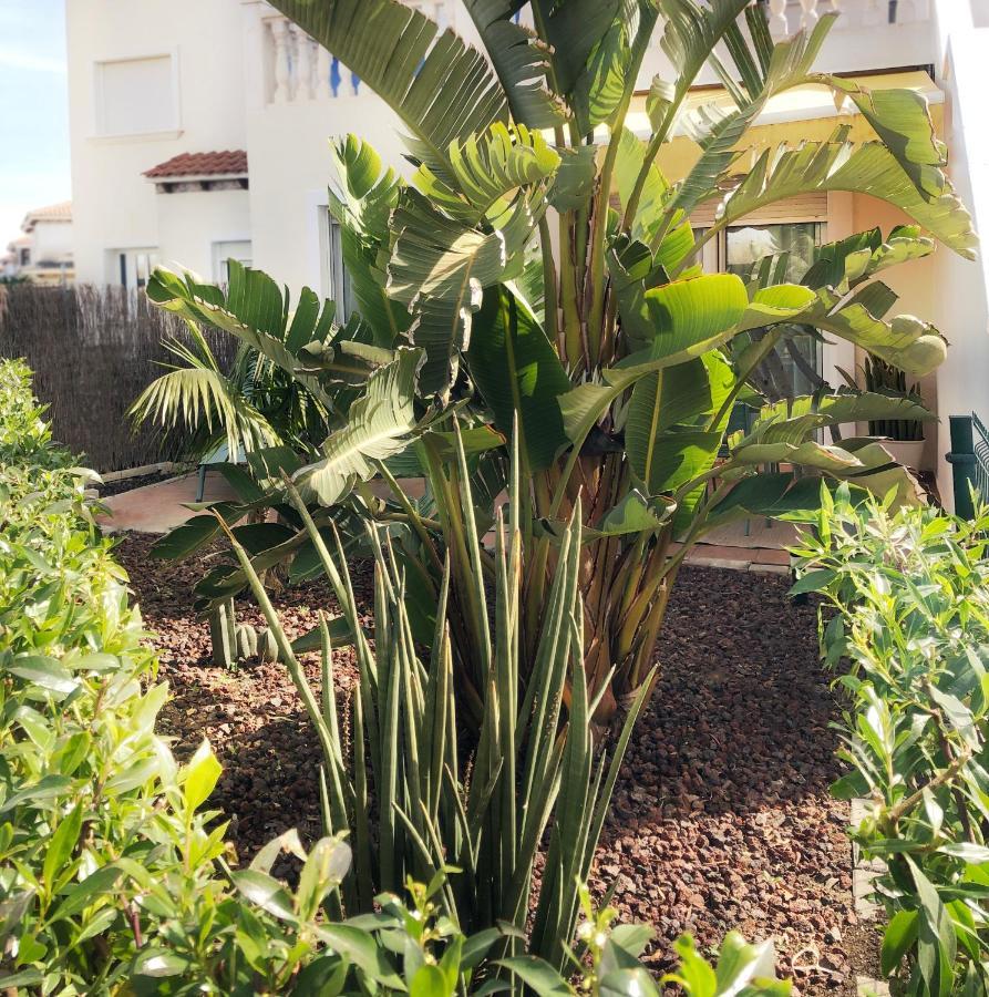 Bajo Torremar Natura - Playa Zona Naturista Apartment *