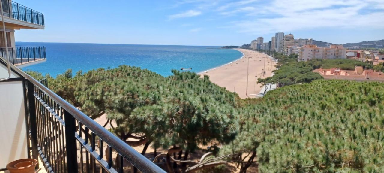 Apartment Cavall Bernat 49 *