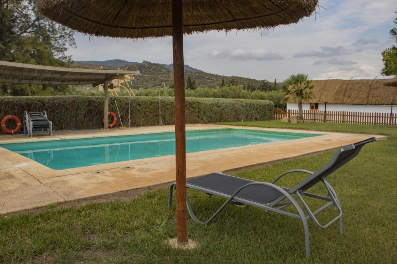 Farm stay Torre Forcheron Amposta