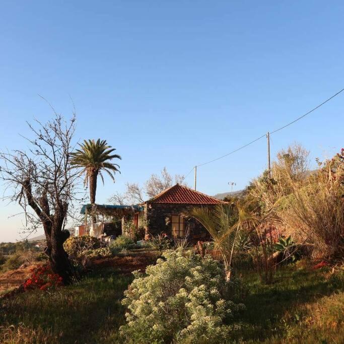 Casita En El Campo Con Vista Al Oceano Tijarafe