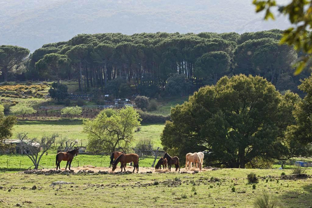 Farm stay Tambor Del Llano Grazalema