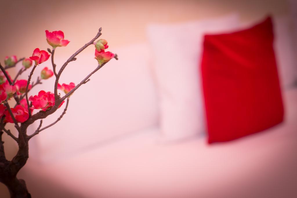 Palacio Guest house