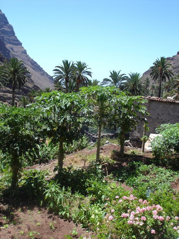 Goyo Gomera