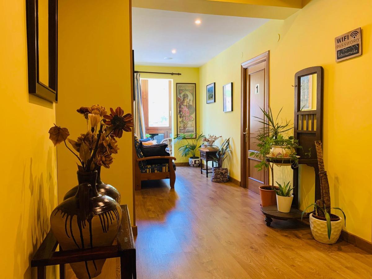 Hostal La Serna Guest house *