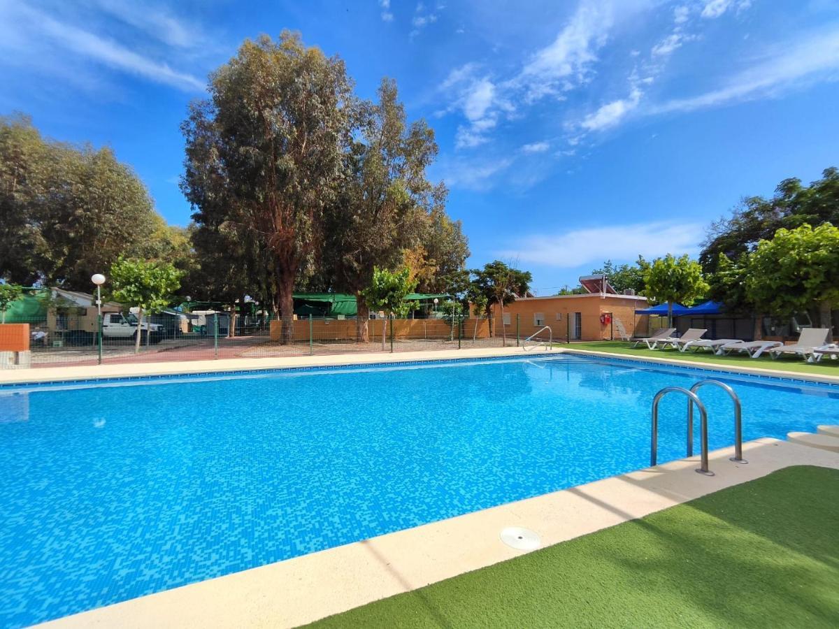El Jardin El Campello