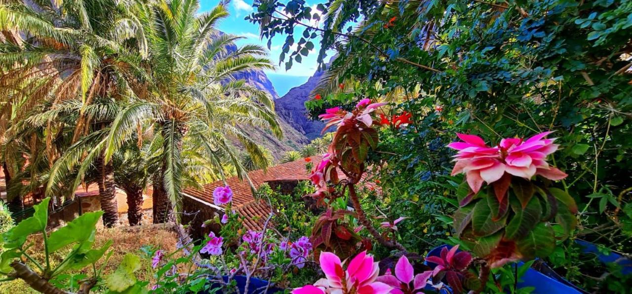 Ocean View Tenerife *