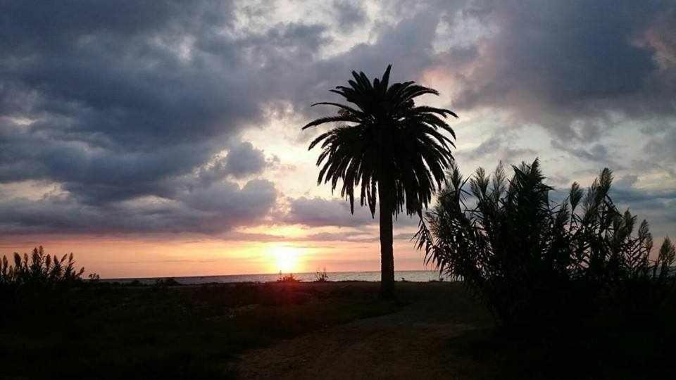 Mediterrania Marina *