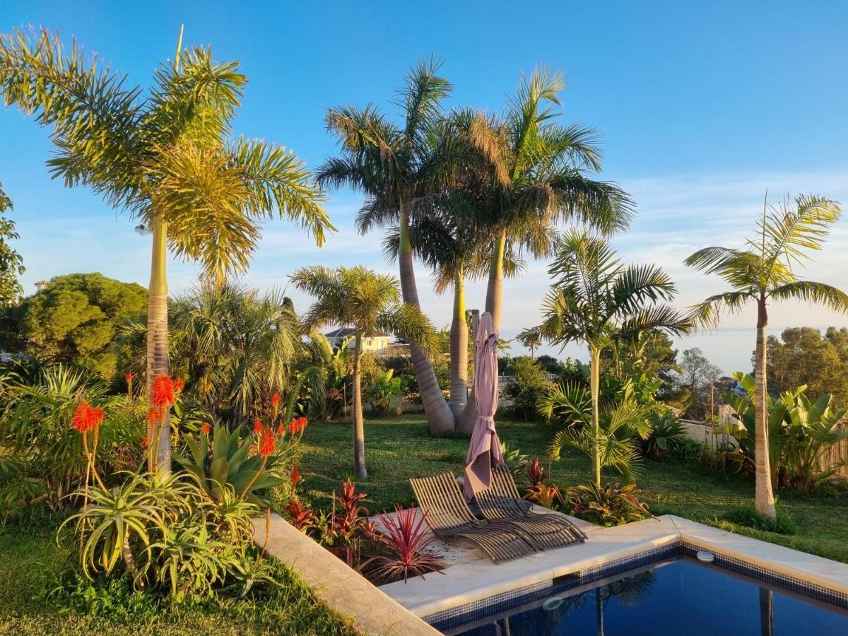 Bed & Breakfast In Eden Palm
