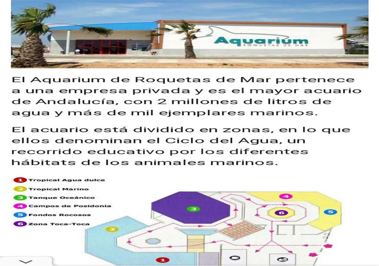 Apartamento Paseo Vip