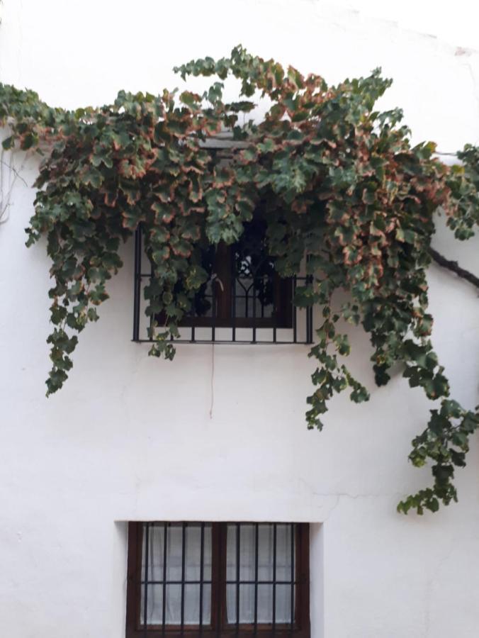 La Amena *