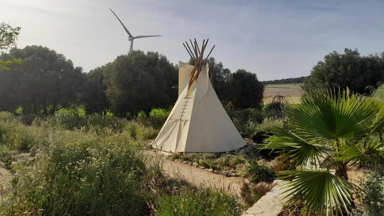 Milagro De Algar * Vejer de la Frontera