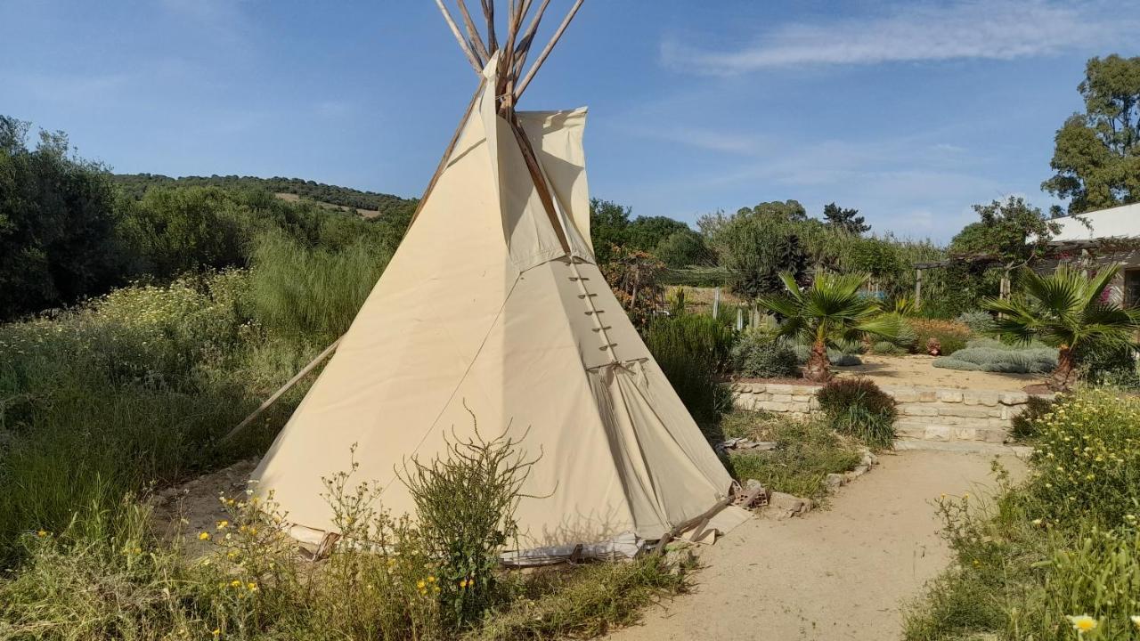 Milagro De Algar Vejer de la Frontera