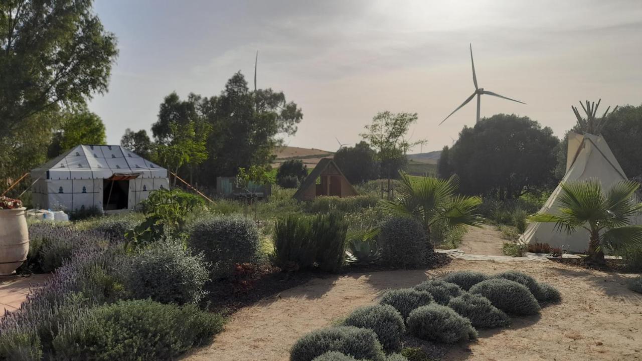 Milagro De Algar Vejer de la Frontera