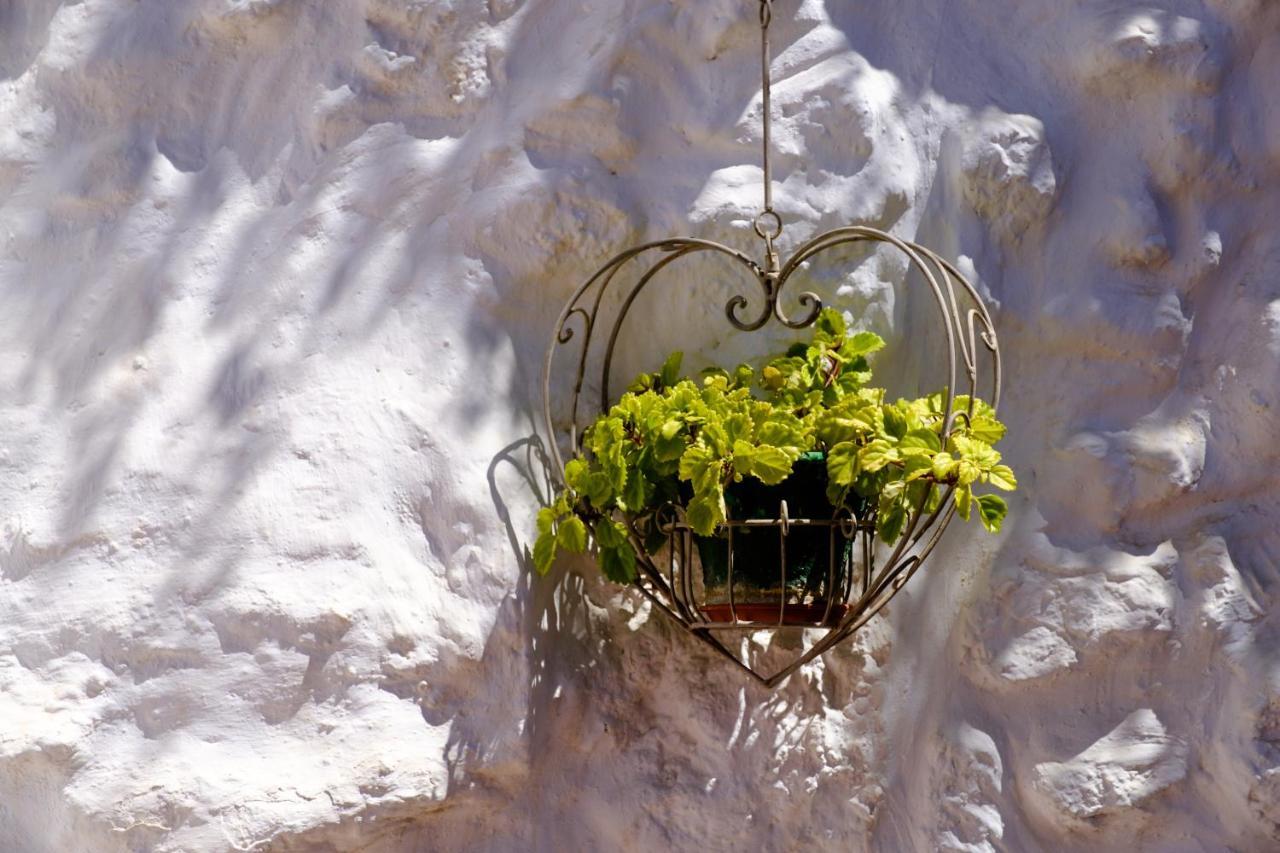 Hotel Almohalla51 *