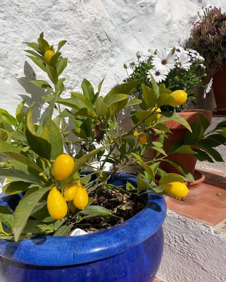Hotel Almohalla51 Archidona