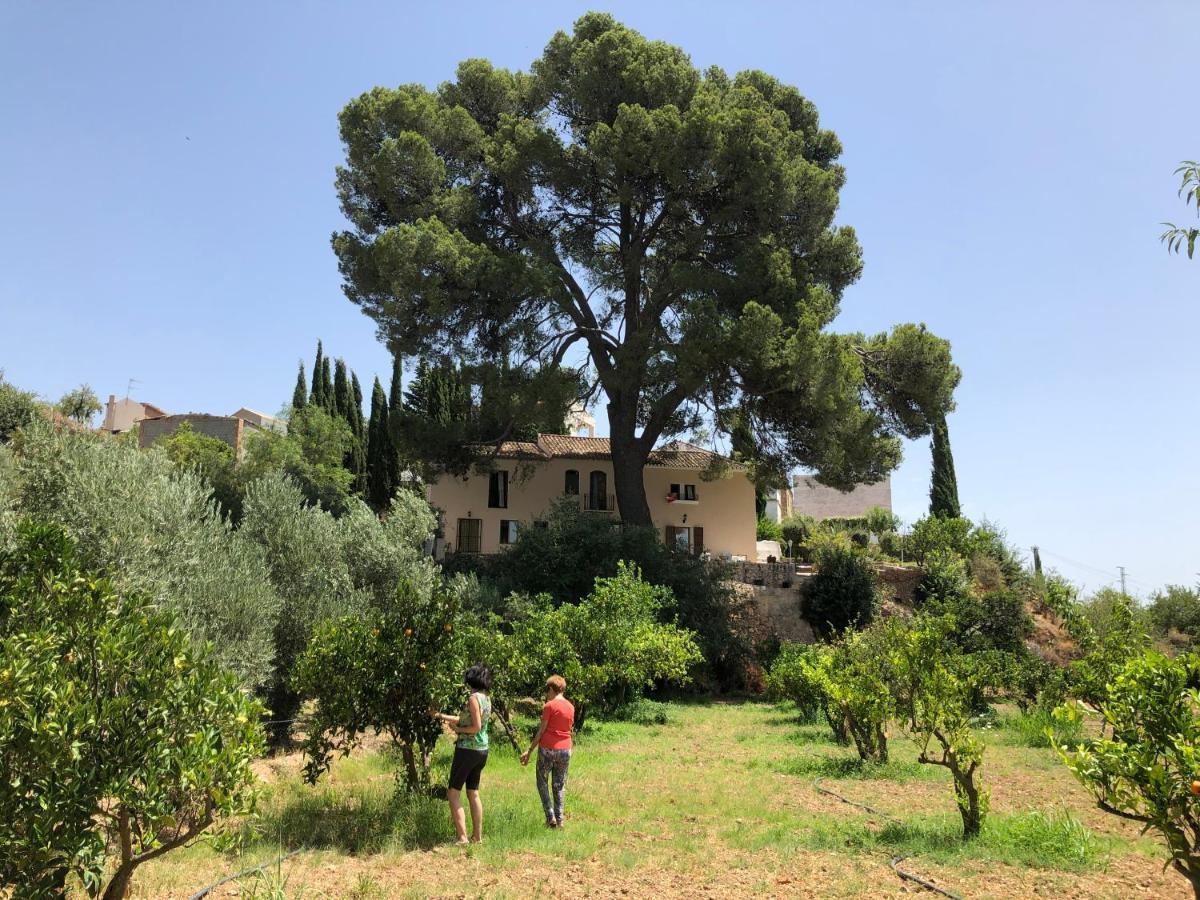 Bed and breakfast Cortijo El Pino Albuñuelas