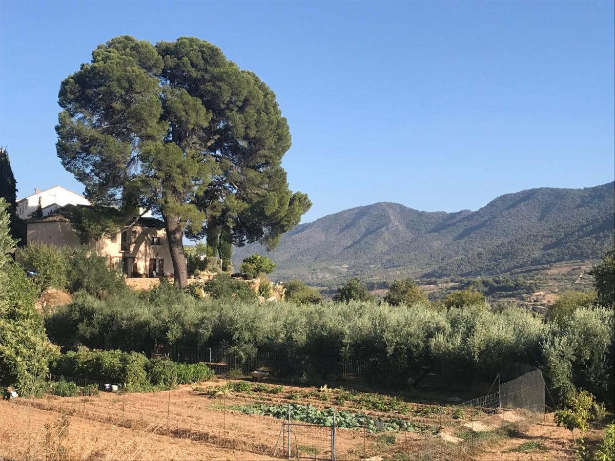Cortijo El Pino