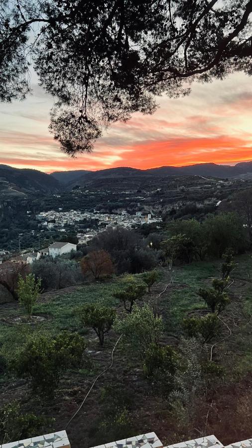 Cortijo El Pino