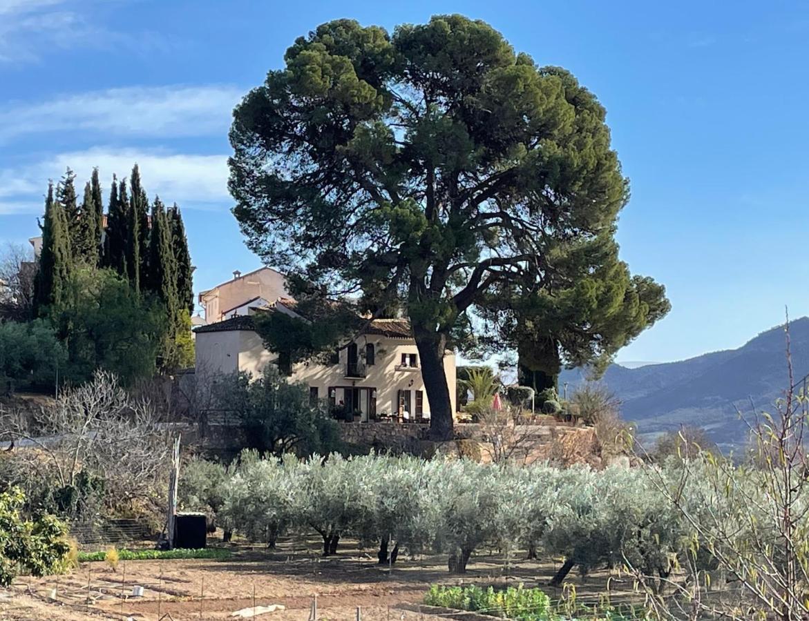Bed and breakfast Cortijo El Pino