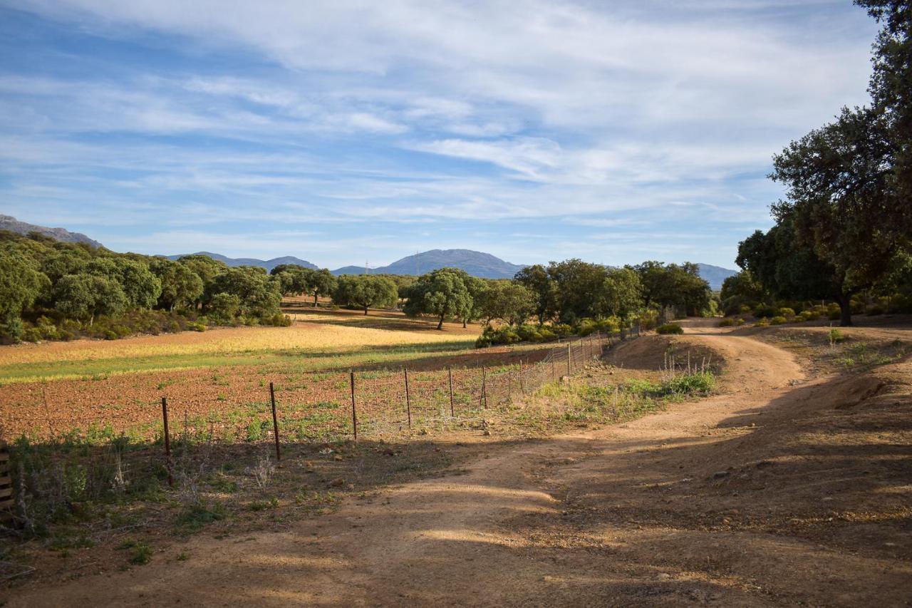 Holiday home La Lola - Secluded Hacienda Archidona