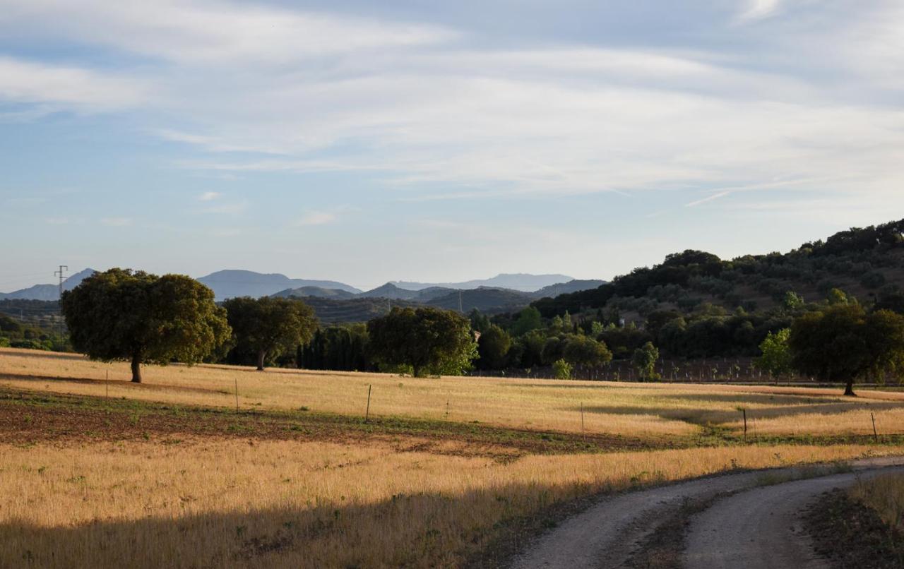 Holiday home La Lola - Secluded Hacienda *