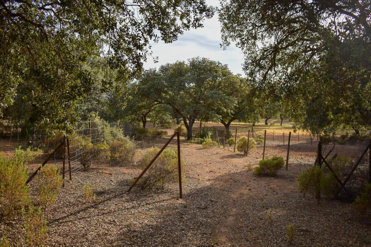 La Lola - Secluded Hacienda Archidona