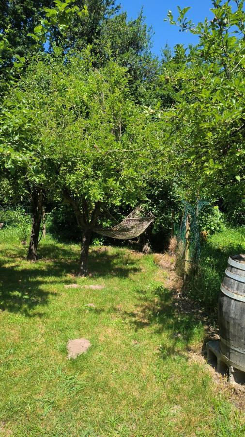 Pontevedra's House Holiday home Pontevedra