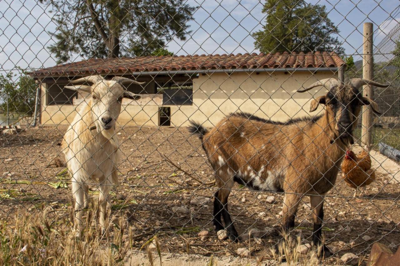 Torre Forcheron Farm stay *