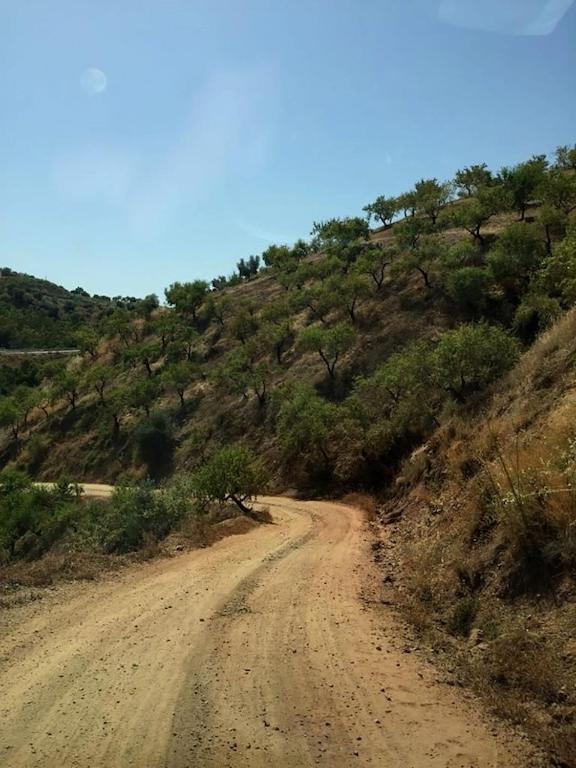 Villa Piltraque - Our Stunning Country To Rent In Andalucia, Spain