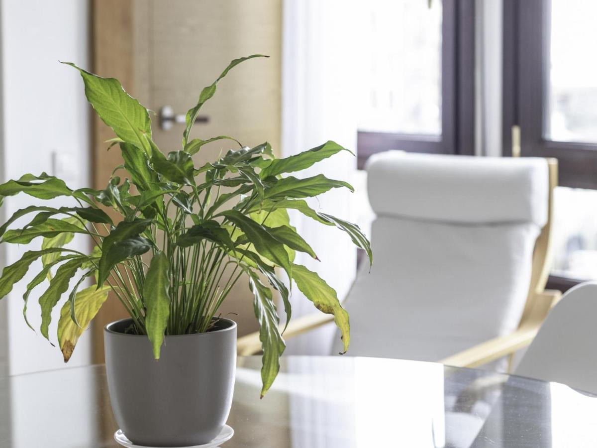 Apartamento Politxe By Kabia Gestion Bermeo