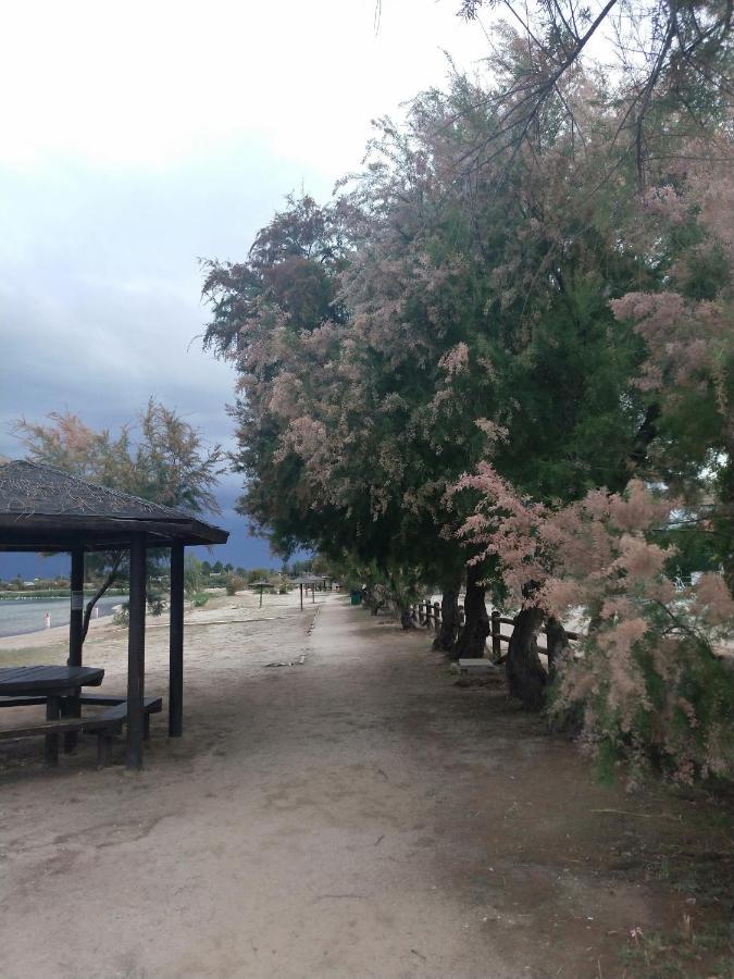 Banderas Guest house