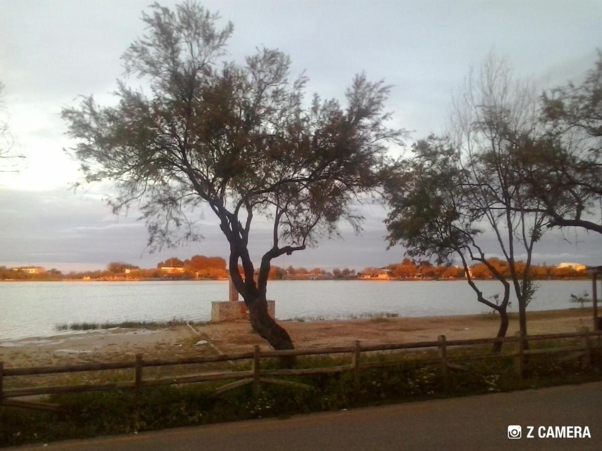 Banderas