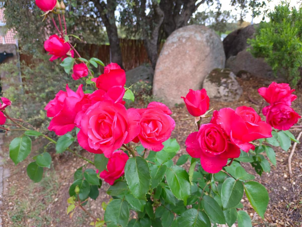 Holiday home El Encinar De Gabino