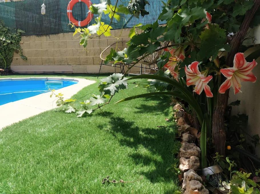 Luminosa Y Confortable Casa Con Vistas Y Piscina Jun