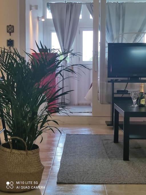 Casa Con Jardin Apartment