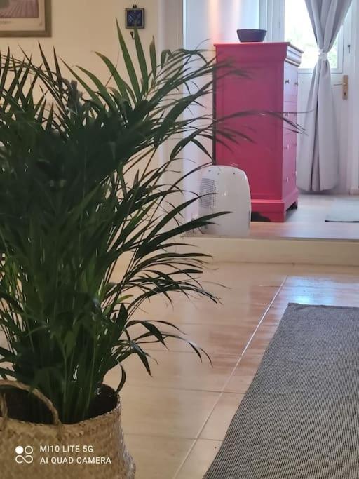 Apartamento Casa Con Jardin