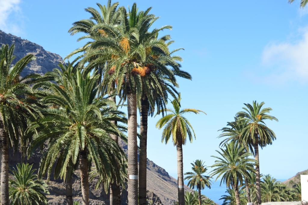 Goyo Gomera Apartamento