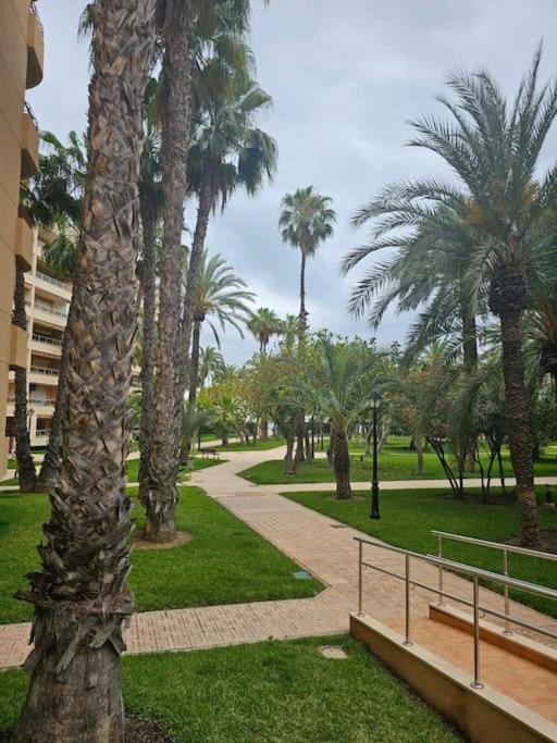 Apartamento First Line Sea *
