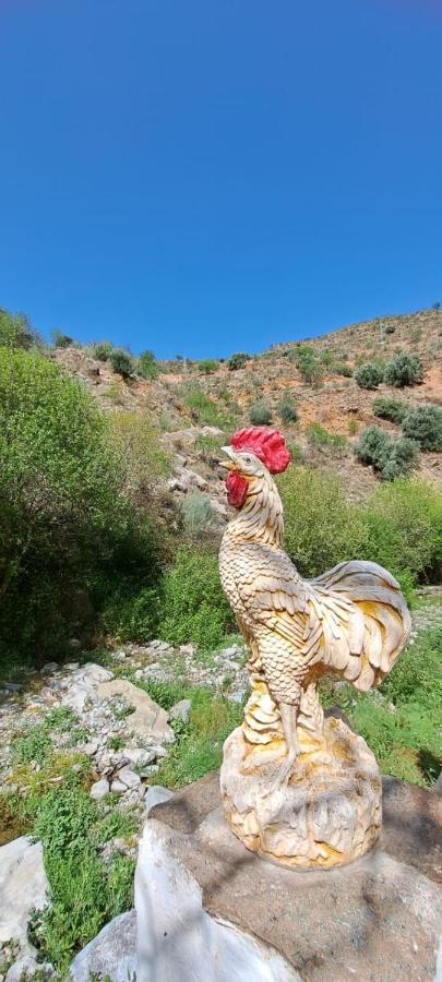 Molino Holiday home