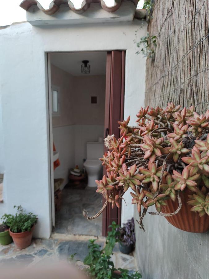 Сasa de vacaciones Casa El Jazmín *